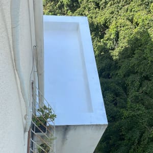 איטום גג עם ציפוי לבן ליד צמחייה ירוקה