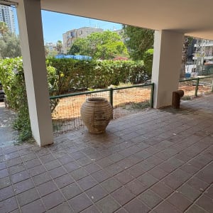 מרפסת עם עציץ גדול, גדר ושיחים ברקע