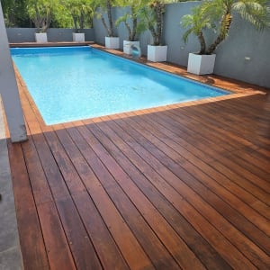 דק עץ ליד בריכה עם עציצים ירוקים