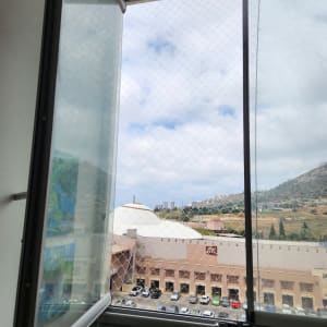 חלון עם רשת נגד יונים ונוף עירוני