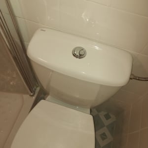 אסלה עם כפתור הדחה בחדר אמבטיה