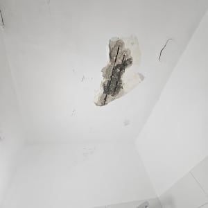 נזק מים בתקרה עם סימני רטיבות