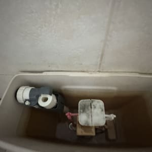 מיכל הדחה עם חלקים פנימיים