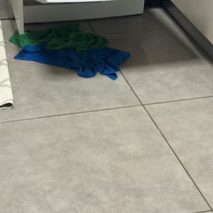 מדיח כלים פתוח עם כלים בפנים ומגבות על הרצפה