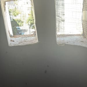 שני חלונות עם רשתות למניעת יונים