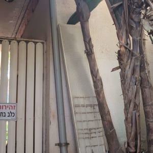 צינור מרזב ליד עצים וקיר חיצוני