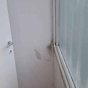 גליל צבע ומברשת על דלי אדום ליד קיר לבן