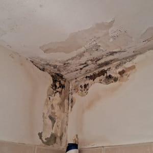כתמי רטיבות ועובש על תקרת גבס
