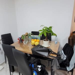 שולחן עם כיסאות, צמחים ותיק בחדר פנימי