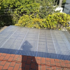 גג עם כיסוי פלסטיק שקוף וצמחייה ברקע