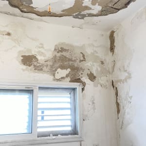 תקרה וקירות עם קילופי צבע ונזקי רטיבות