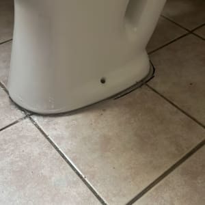 אסלה עם נזילה על רצפת קרמיקה