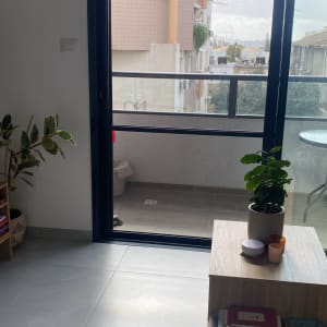 מרפסת עם דלת זכוכית וצמח בעציץ