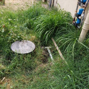 צינורות מים ומכסה ביוב בגינה