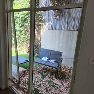 דלת זכוכית עם עלים יבשים בחצר