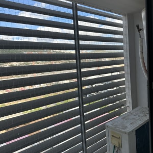 רשת יונים מותקנת על חלון עם נוף חיצוני