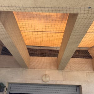 רשת למניעת כניסת יונים מתחת לגג