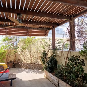 גינה עם עצים ושיחים תחת פרגולה מעץ