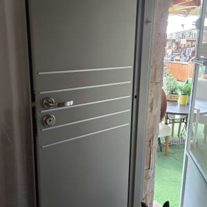 דלת אפורה פתוחה עם ידית מתכת וכלב קטן בכניסה