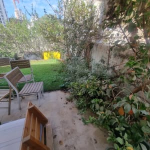 גינה עם צמחים וכיסאות עץ בחוץ