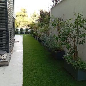 עציצים עם צמחים ירוקים על דשא מלאכותי