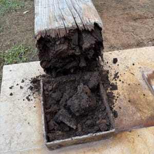 עץ רקוב עם אדמה על משטח בטון