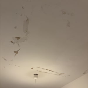 תקרה עם קילופי צבע ונזקי רטיבות