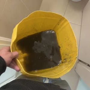 תמונה אינה מציגה עבודה בתחום