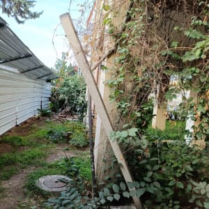 מבנה עם גג מתכת וצמחייה מסביב