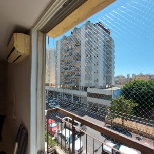 רשת מתכת מותקנת על חלון למניעת כניסת יונים