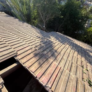 גג רעפים עם פתחים ועצים ברקע