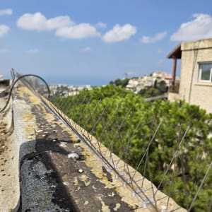 דוקרנים להרחקת יונים על גג עם נוף ברקע