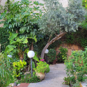 שביל גינה עם עצים, שיחים ועציצים