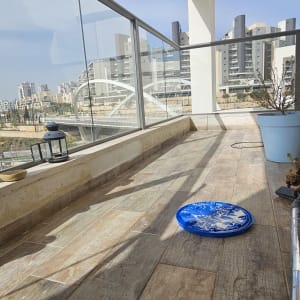 מרפסת עם רצפת עץ, עציץ וכיסוי כחול