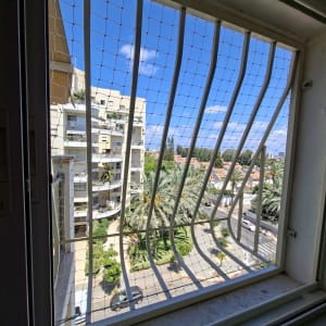 חלון עם רשת נגד יונים ונוף עירוני