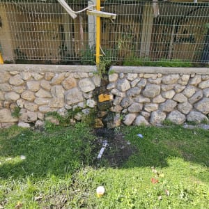 נזילה בקיר אבן עם צמחייה מסביב