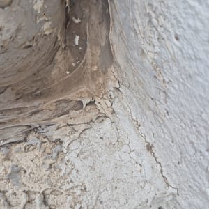 קיר עם סימני רטיבות והתקלפות צבע