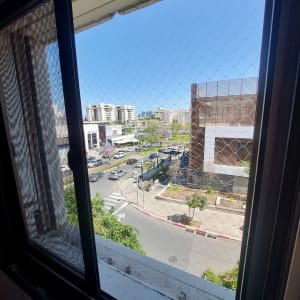 רשת על חלון למניעת כניסת יונים