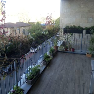 עציצים עם צמחים על מעקה מרפסת