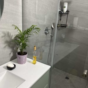 חדר אמבטיה עם מקלחון, כיור וצמח