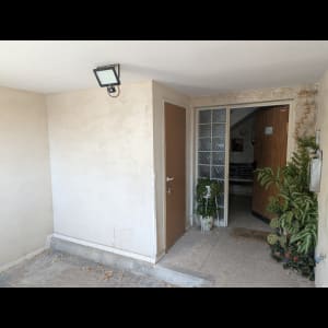 כניסה לבית עם דלתות וצמחייה