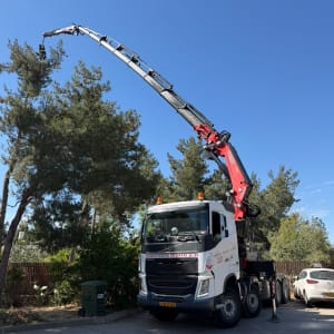 משאית עם מנוף ליד עצים בשטח פתוח