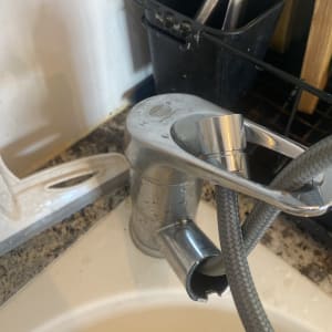 ברז מטבח עם צינור גמיש חשוף