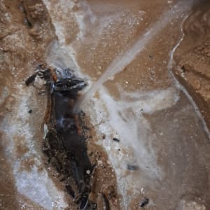 נזילה בצינור מים באדמה