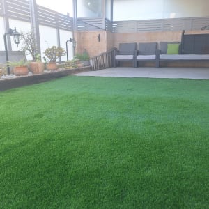 עציצים עם צמחים על דשא סינתטי