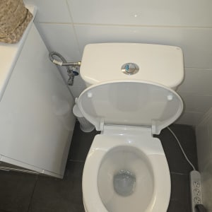 אסלה לבנה בחדר שירותים עם אריחים