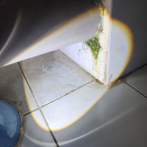 דליפה בצינור עם סימני רטיבות ועובש