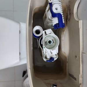 מיכל הדחה עם חלקים פנימיים של אסלה