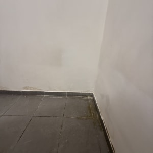 רצפה וקיר עם סימני רטיבות בפינה