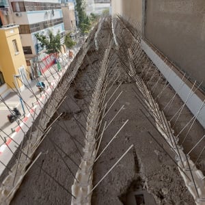 דוקרנים למניעת יונים מותקנים על אדן חלון